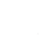 Certified Insurance Service Representatives